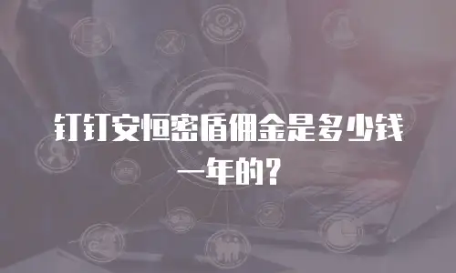 钉钉安恒密盾佣金是多少钱一年的？