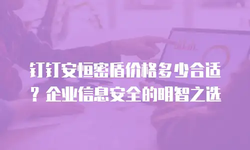 钉钉安恒密盾价格多少合适？企业信息安全的明智之选
