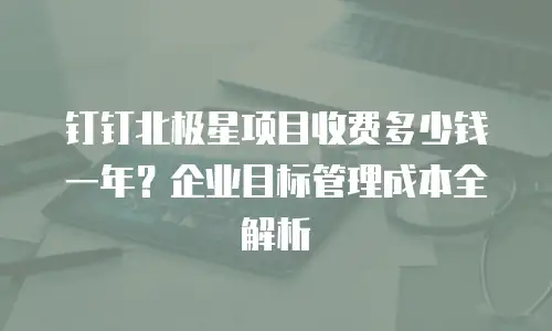 钉钉北极星项目收费多少钱一年？企业目标管理成本全解析
