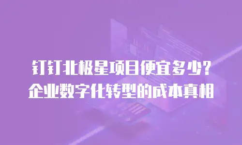 钉钉北极星项目便宜多少？企业数字化转型的成本真相