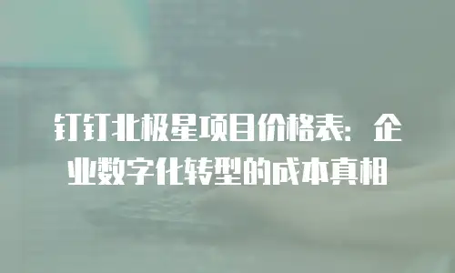 钉钉北极星项目价格表：企业数字化转型的成本真相