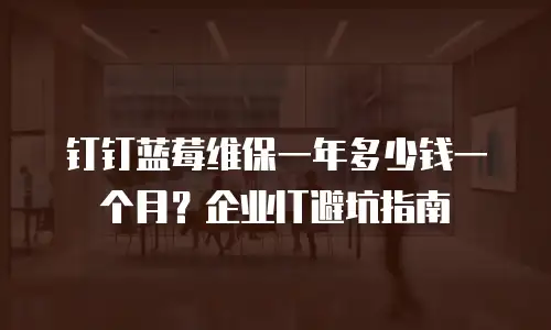 钉钉蓝莓维保一年多少钱一个月？企业IT避坑指南