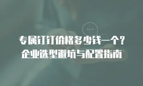 专属钉钉价格多少钱一个？企业选型避坑与配置指南