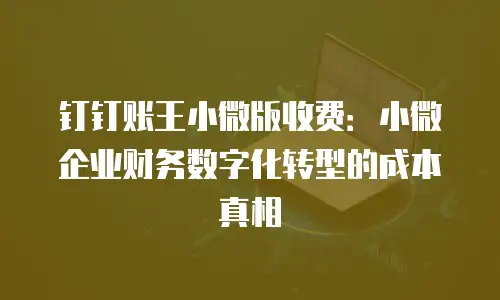 钉钉账王小微版收费：小微企业财务数字化转型的成本真相