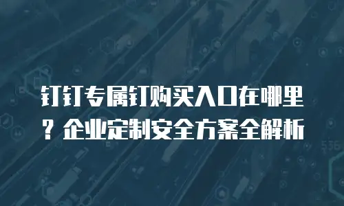钉钉专属钉购买入口在哪里？企业定制安全方案全解析