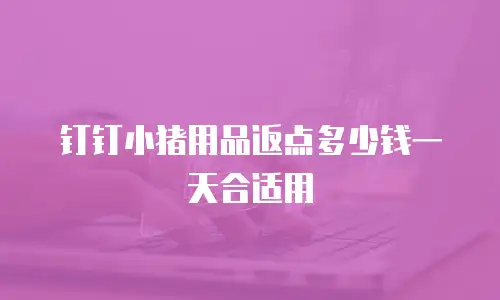 钉钉小猪用品返点多少钱一天合适用
