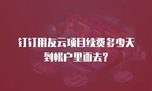 钉钉用友云项目续费多少天到帐户里面去？