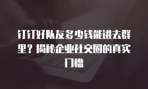 钉钉好队友多少钱能进去群里？揭秘企业社交圈的真实门槛