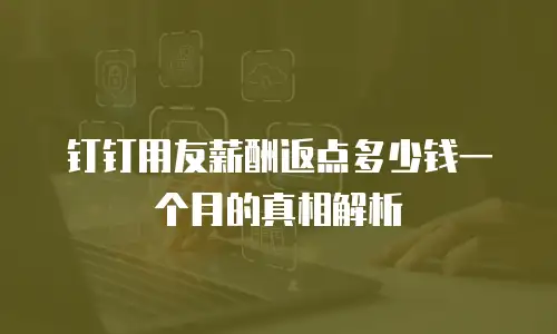钉钉用友薪酬返点多少钱一个月的真相解析