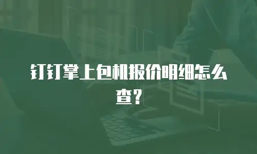 钉钉掌上包机报价明细怎么查？