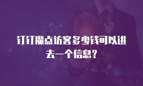 钉钉魔点访客多少钱可以进去一个信息？