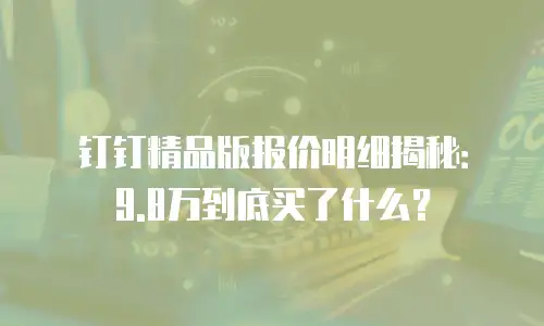 钉钉精品版报价明细揭秘：9.8万到底买了什么？