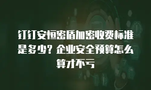 钉钉安恒密盾加密收费标准是多少？企业安全预算怎么算才不亏