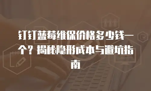 钉钉蓝莓维保价格多少钱一个？揭秘隐形成本与避坑指南