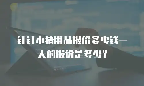 钉钉小猪用品报价多少钱一天的报价是多少？
