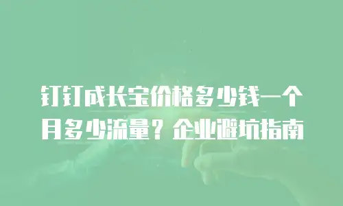 钉钉成长宝价格多少钱一个月多少流量？企业避坑指南