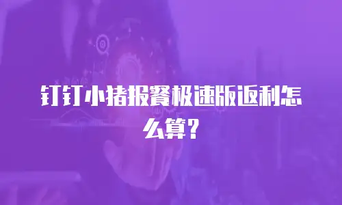 钉钉小猪报餐极速版返利怎么算？