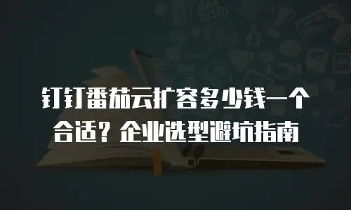 钉钉番茄云扩容多少钱一个合适？企业选型避坑指南