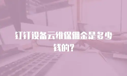 钉钉设备云维保佣金是多少钱的？