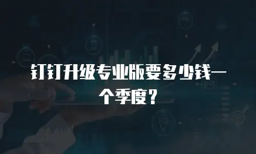 钉钉升级专业版要多少钱一个季度？