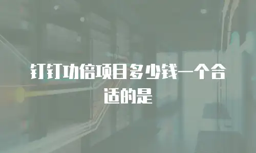 钉钉功倍项目多少钱一个合适的是