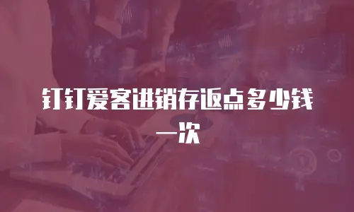 钉钉爱客进销存返点多少钱一次