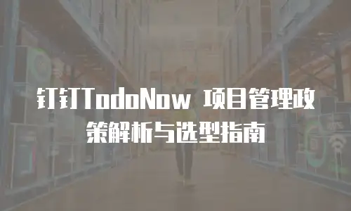 钉钉TodoNow 项目管理政策解析与选型指南