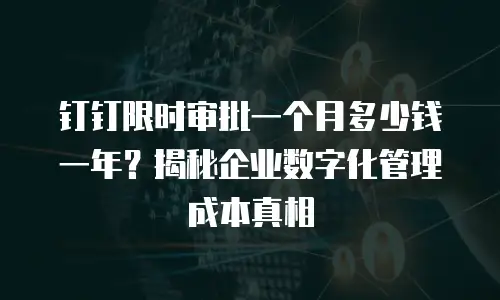 钉钉限时审批一个月多少钱一年？揭秘企业数字化管理成本真相