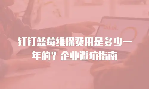 钉钉蓝莓维保费用是多少一年的？企业避坑指南