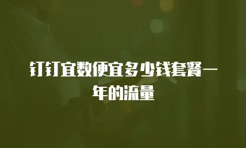 钉钉宜数便宜多少钱套餐一年的流量