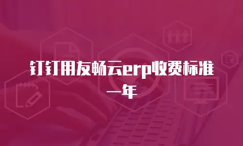 钉钉用友畅云erp收费标准一年