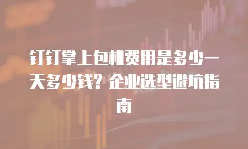 钉钉掌上包机费用是多少一天多少钱？企业选型避坑指南