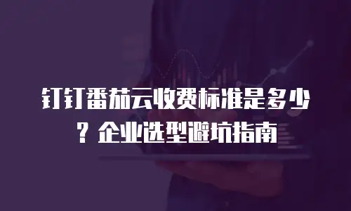 钉钉番茄云收费标准是多少？企业选型避坑指南