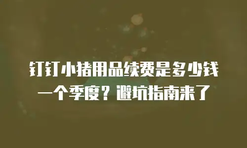 钉钉小猪用品续费是多少钱一个季度？避坑指南来了