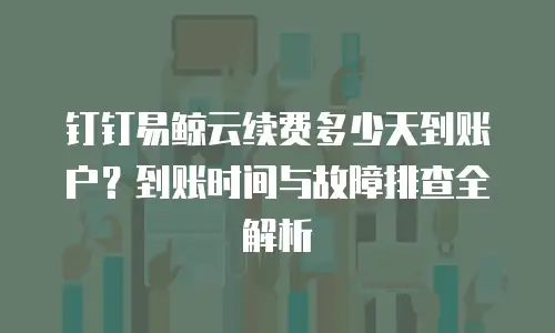 钉钉易鲸云续费多少天到账户？到账时间与故障排查全解析