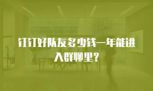 钉钉好队友多少钱一年能进入群聊里？