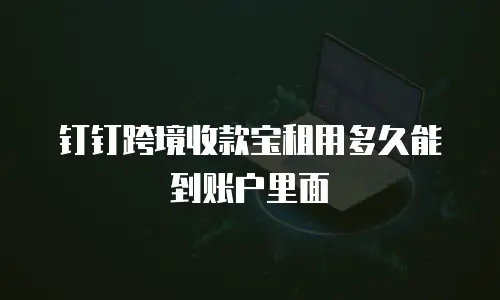 钉钉跨境收款宝租用多久能到账户里面