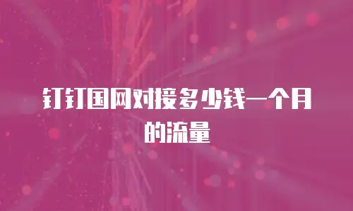 钉钉国网对接多少钱一个月的流量