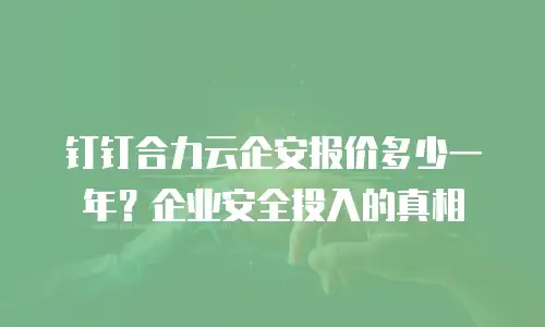 钉钉合力云企安报价多少一年？企业安全投入的真相