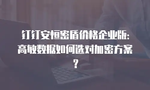 钉钉安恒密盾价格企业版：高敏数据如何选对加密方案？