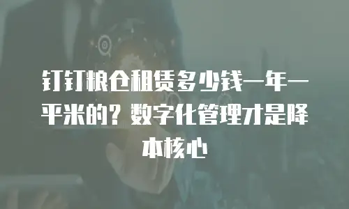 钉钉粮仓租赁多少钱一年一平米的？数字化管理才是降本核心