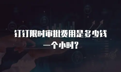 钉钉限时审批费用是多少钱一个小时？