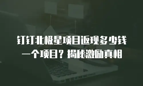 钉钉北极星项目返现多少钱一个项目？揭秘激励真相