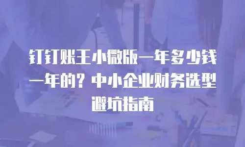 钉钉账王小微版一年多少钱一年的？中小企业财务选型避坑指南