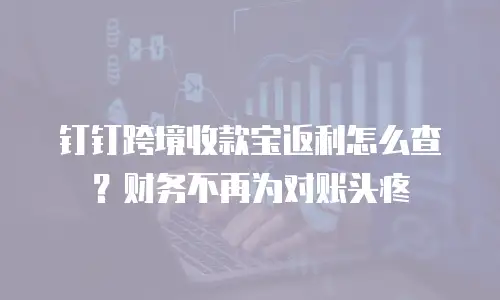 钉钉跨境收款宝返利怎么查？财务不再为对账头疼