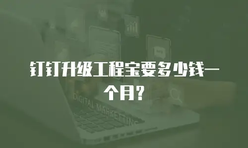 钉钉升级工程宝要多少钱一个月？