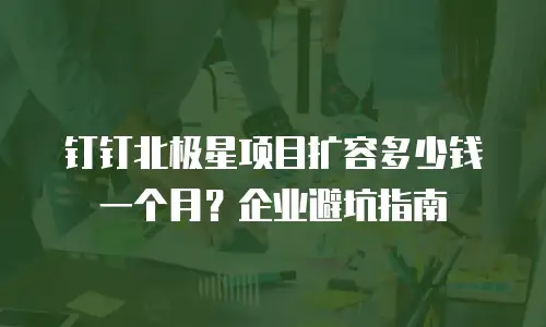 钉钉北极星项目扩容多少钱一个月？企业避坑指南