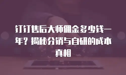 钉钉售后大师佣金多少钱一年？揭秘分销与自研的成本真相