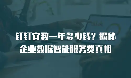钉钉宜数一年多少钱？揭秘企业数据智能服务费真相
