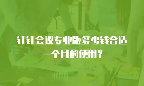 钉钉会议专业版多少钱合适一个月的使用？